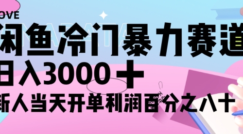 新赛道闲鱼冷门暴，一单 80%利润，新人轻松日入 1000+