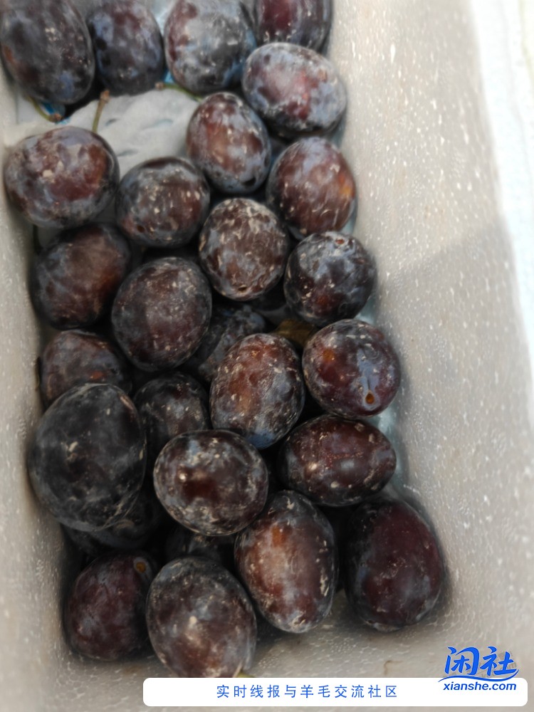 帮忙看下，这是西梅吗？20块钱买了4.5斤，看着很大品相也很好，但是一点味道也没有