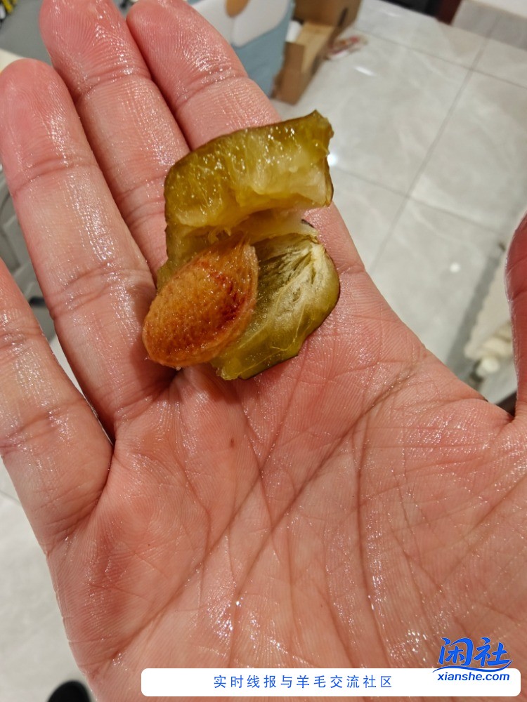 帮忙看下，这是西梅吗？20块钱买了4.5斤，看着很大品相也很好，但是一点味道也没有