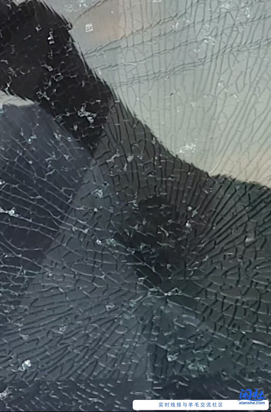 这个是车玻璃被砸了还是自爆