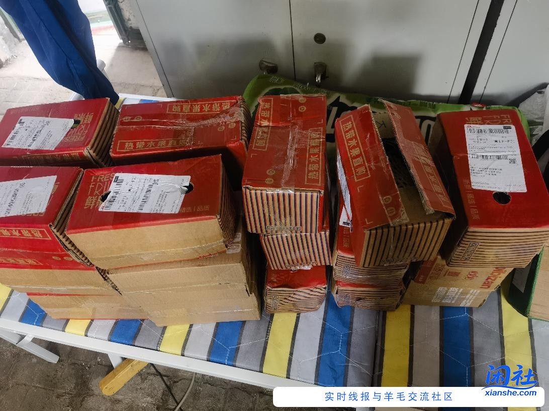 东哥4元卷撸的菠萝真不错