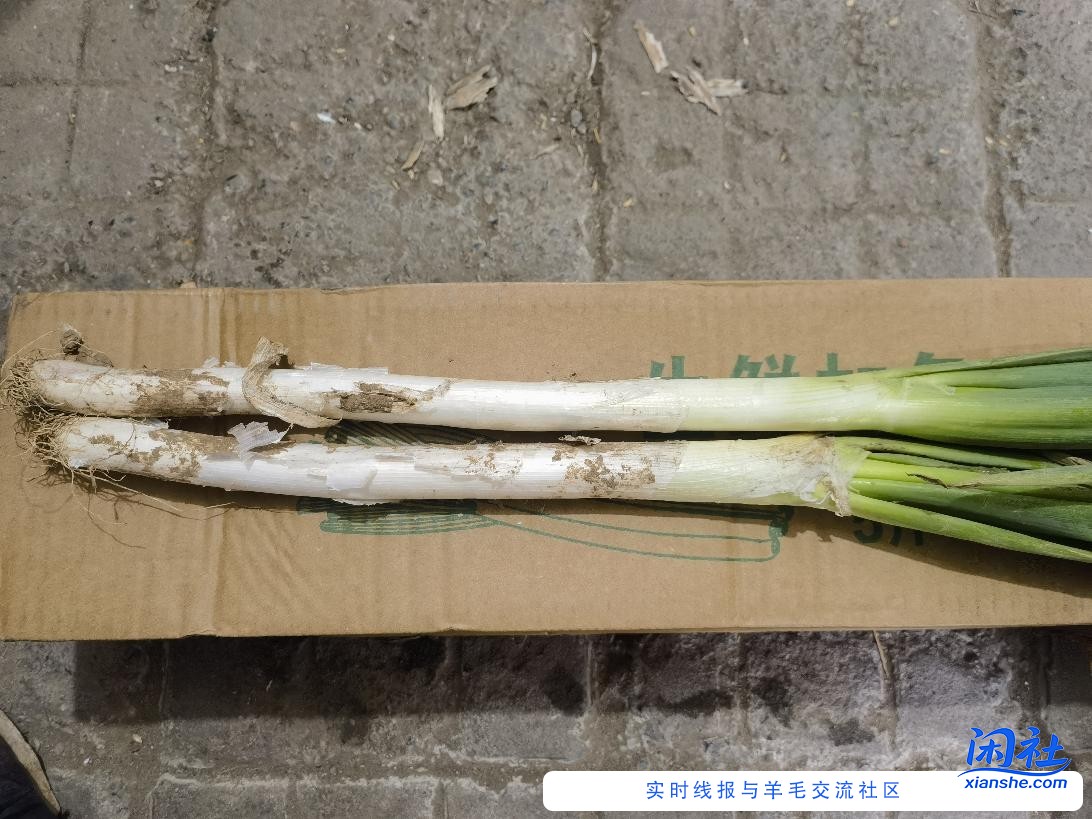 狗东4元卷京喜买的东西到了一批