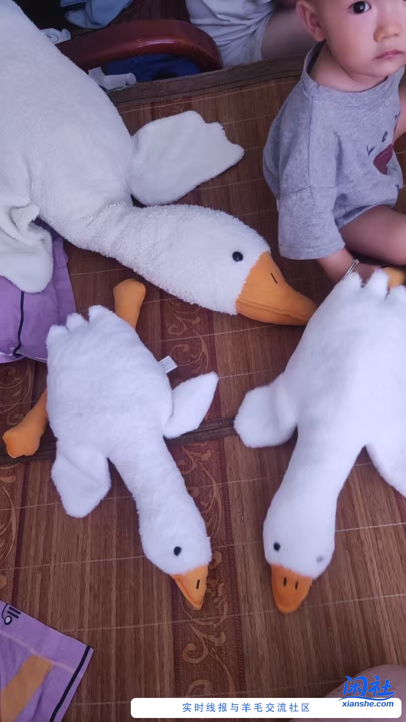 雨森到货了，吧友撸了多少？