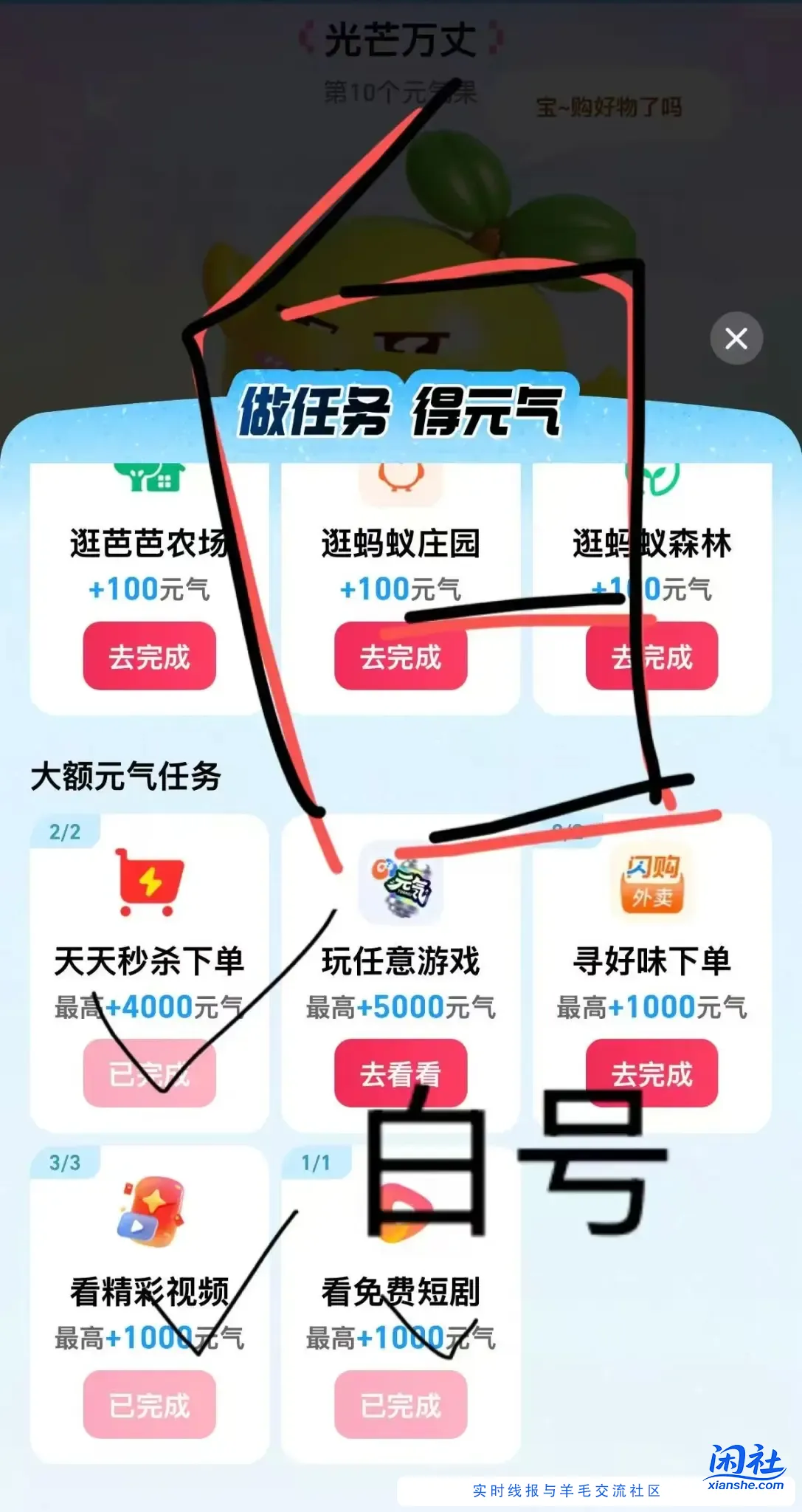 支付宝丰收节撸100毛