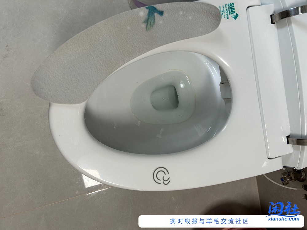 大家的智能马桶用什么马桶垫