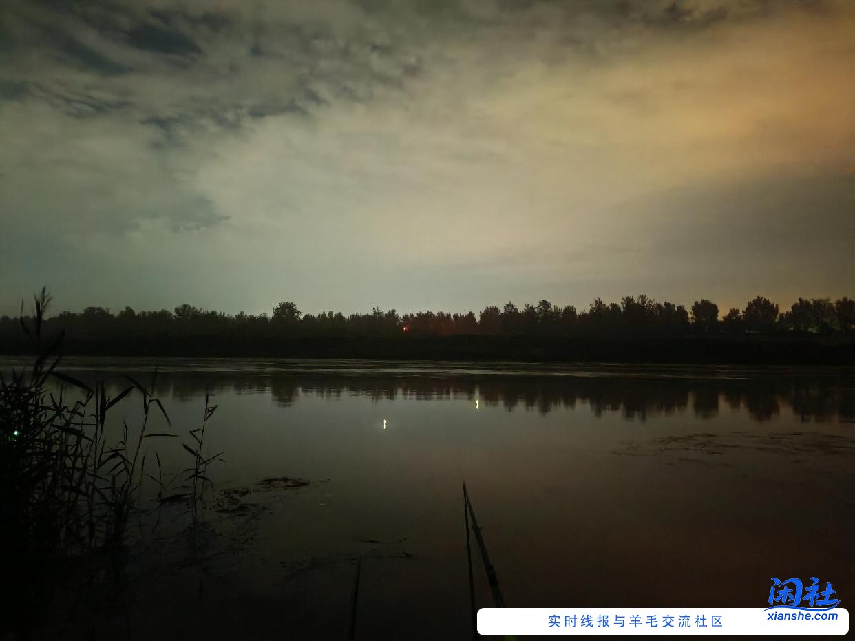 夜钓好难啊，一口都没