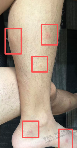 这两天快痛苦嘎了