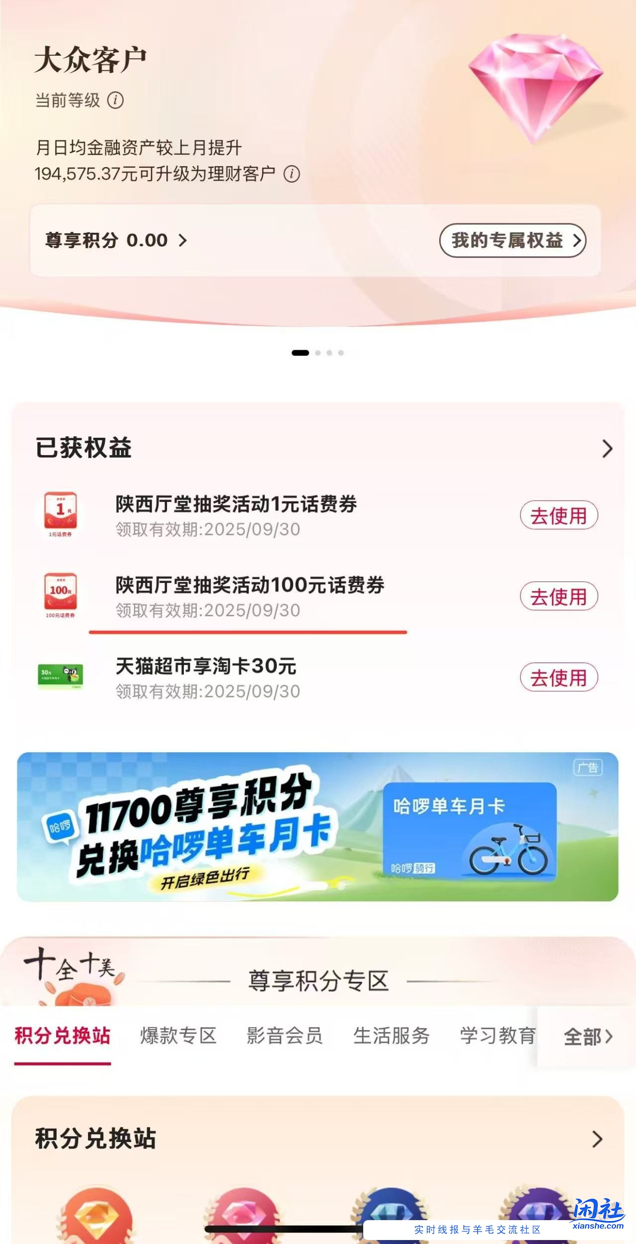 陕西中行100大猫