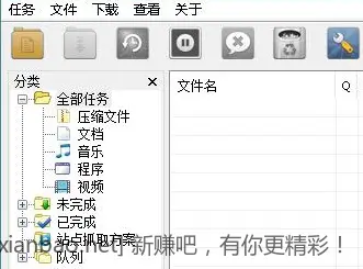 Internet Download Manager v6.42.47 中文绿色特别版(IDM下载利器)