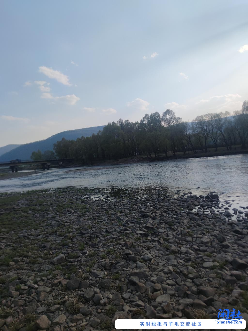 好像大冤种了。。