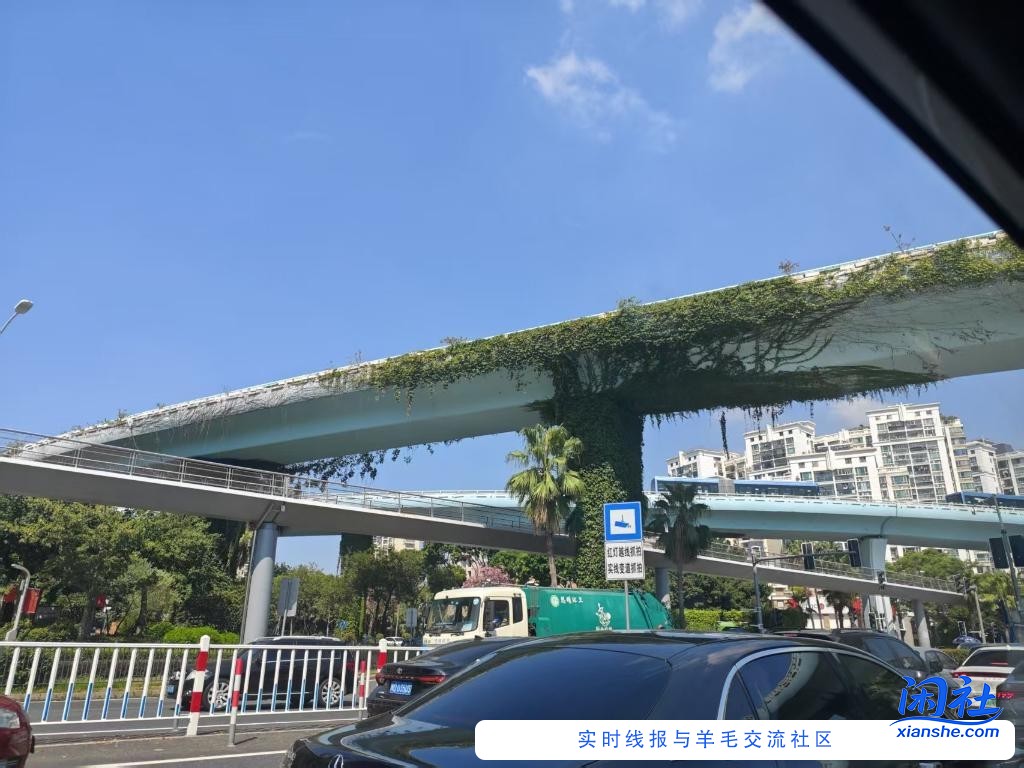 中秋愉快！没有任何踩坑的假期