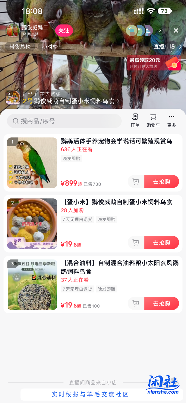 又想冲动买一只小太阳鹦鹉