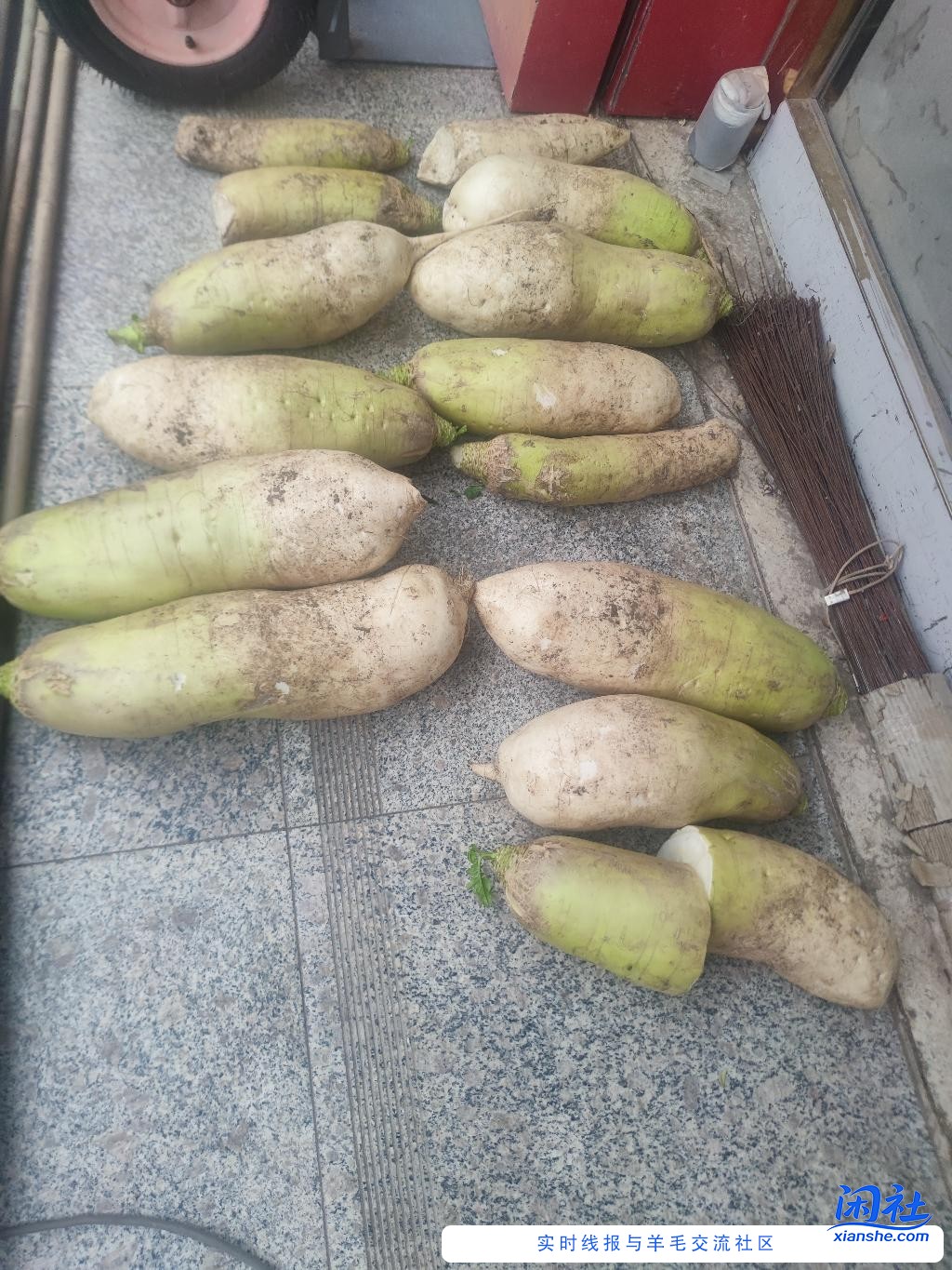 种菜的今年挺惨。。。