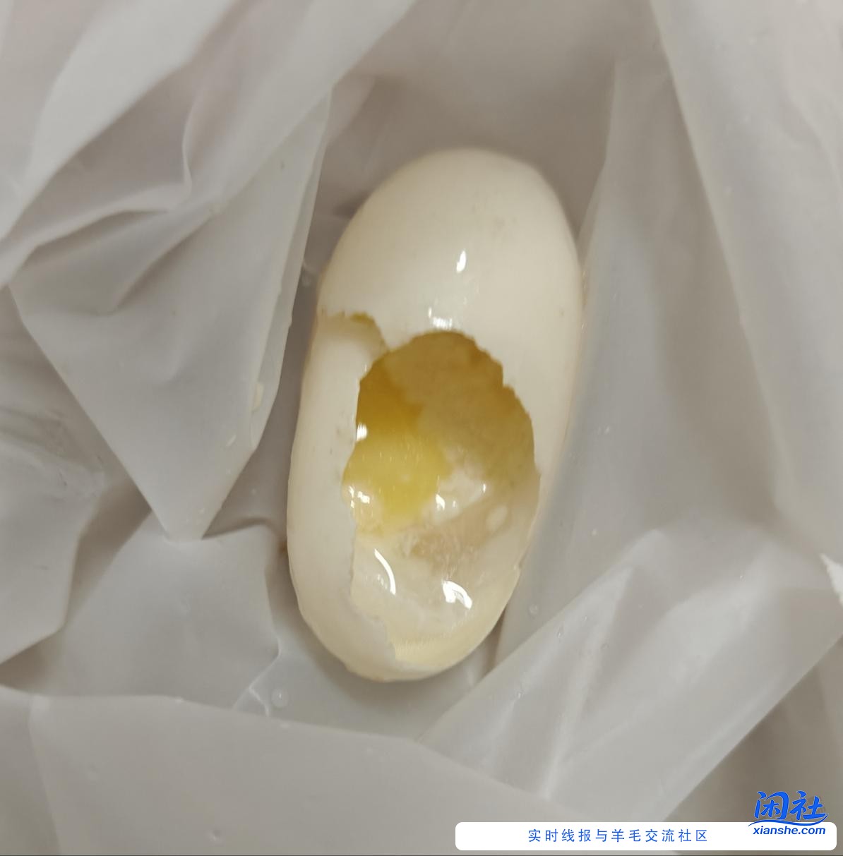 吧龟每次在水里下蛋都被它自己搞破，有什么办法保存完好