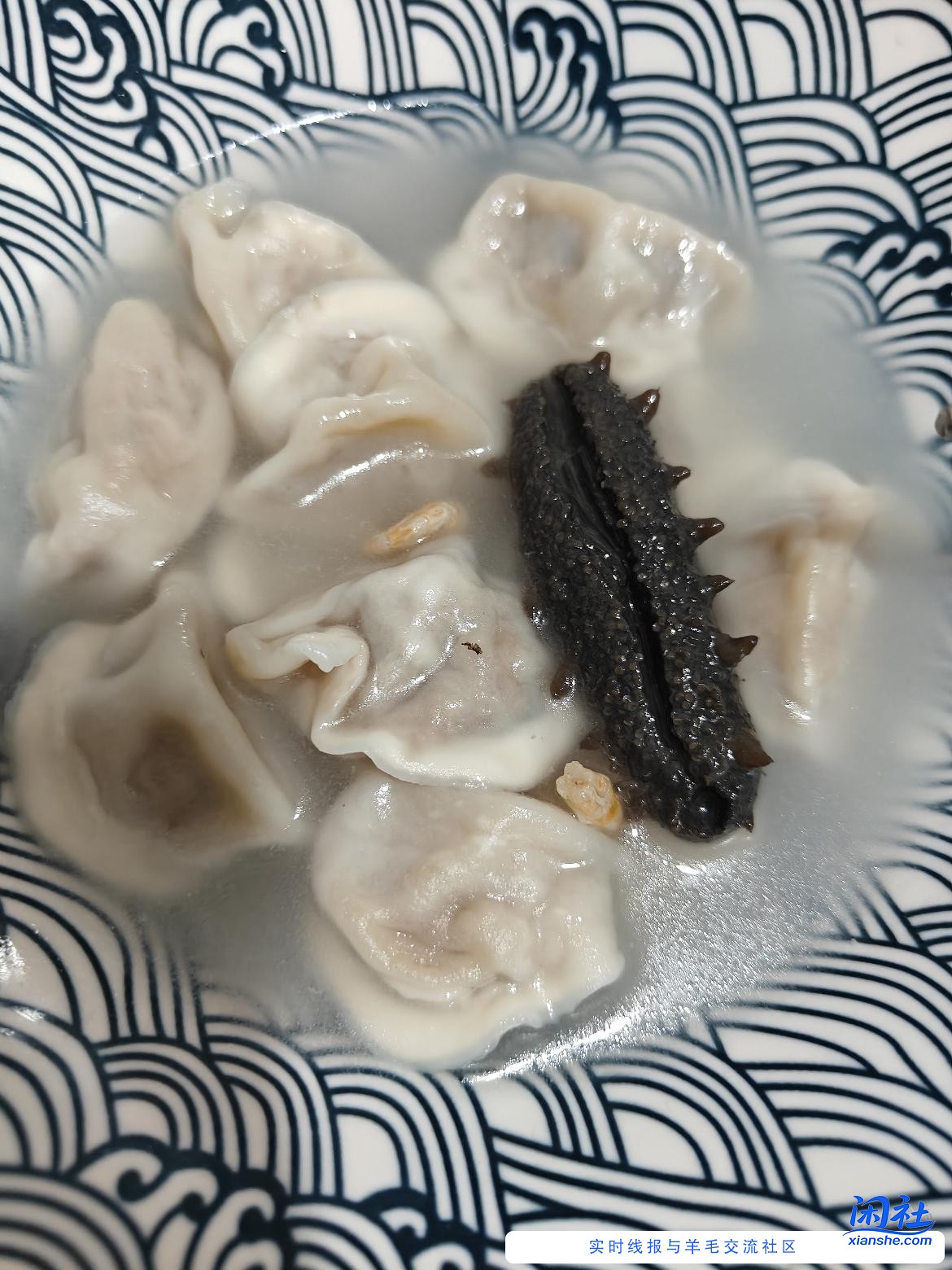 上次撸的一分钱海参到了