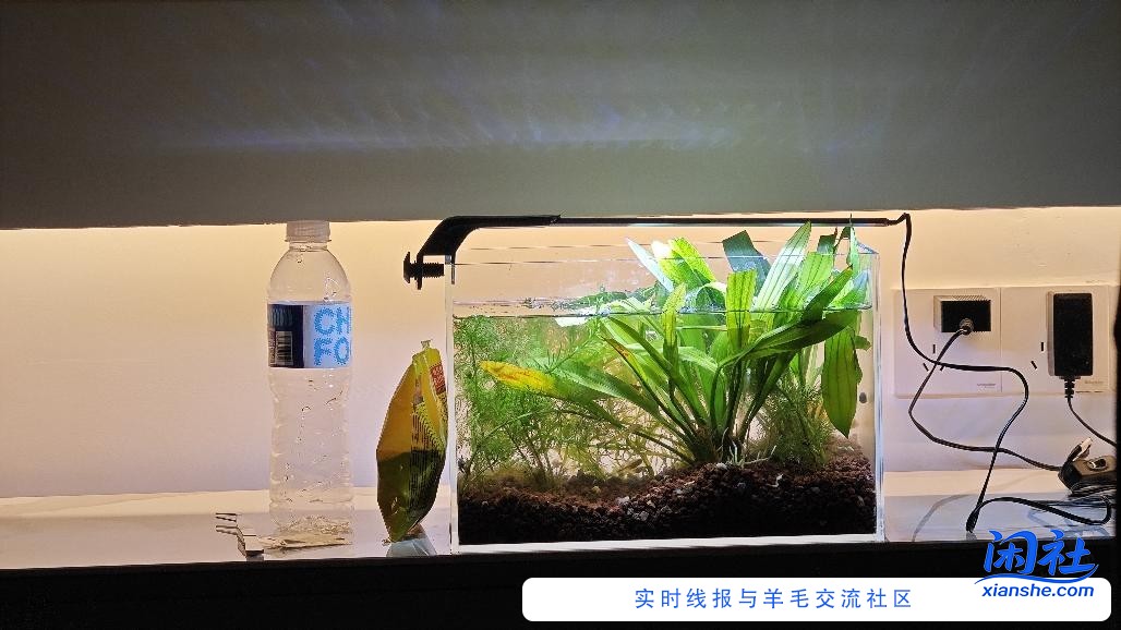 大家好，我是第一次来我们吧