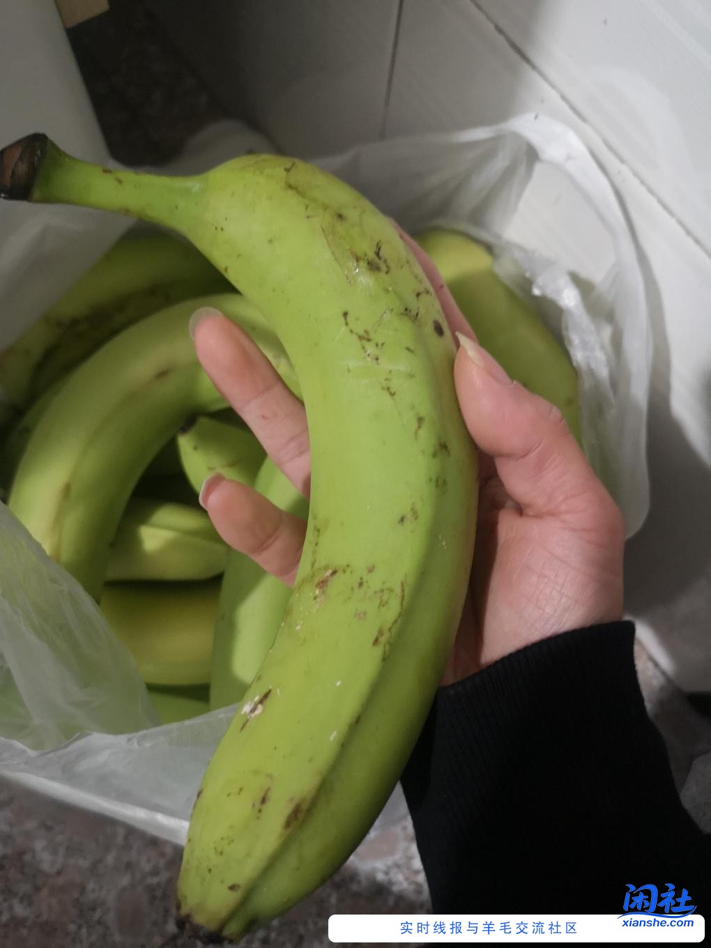 京东免费的28斤香蕉到齐了。。又粗又大 吃用都可以