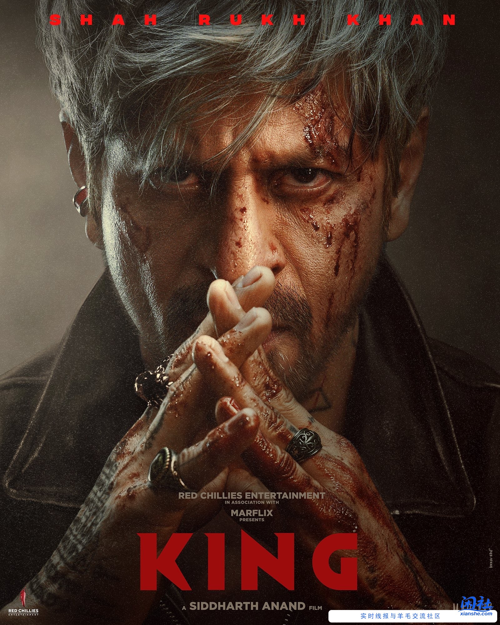 沙沙新片，期待（如图）