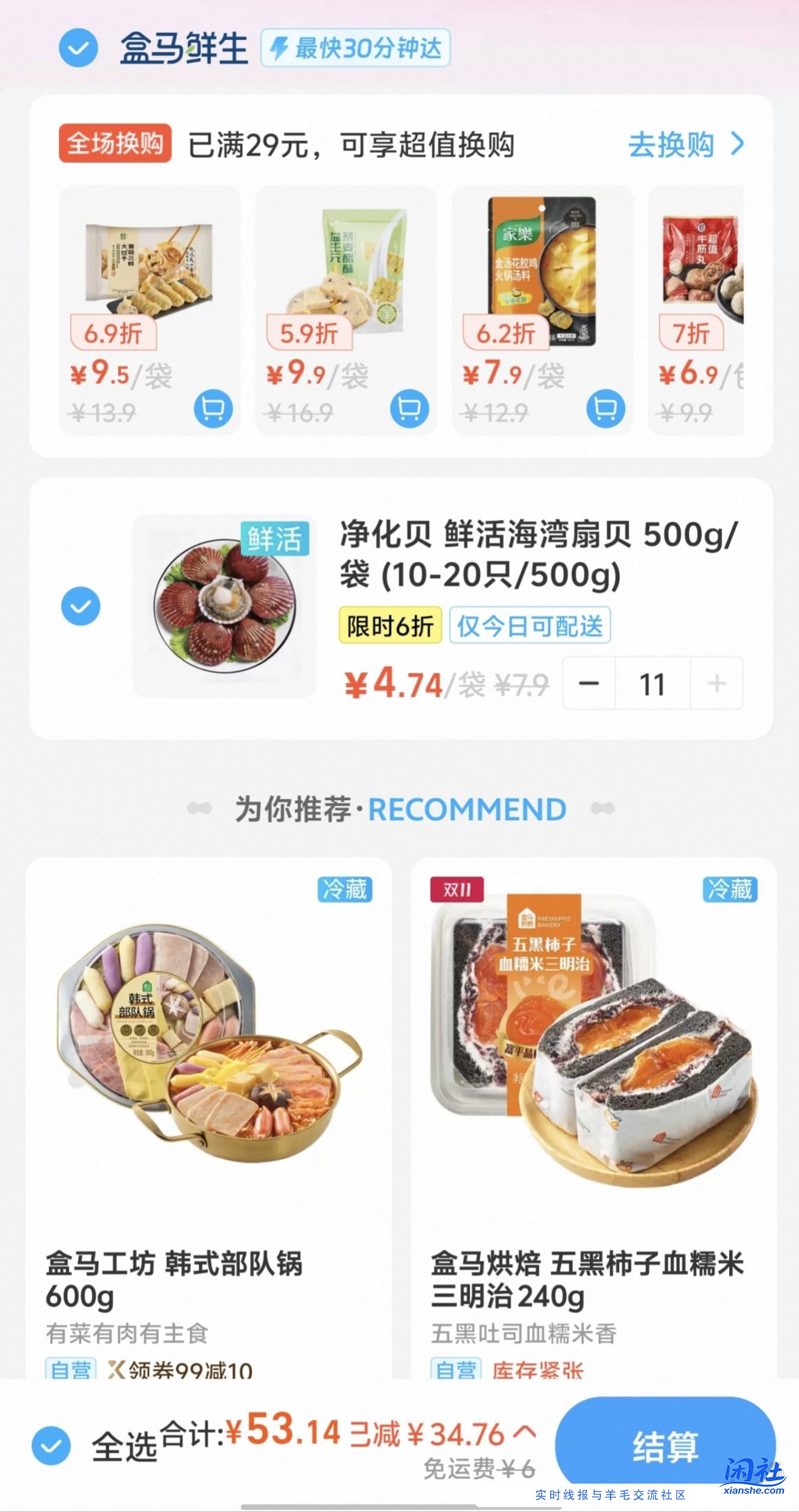 买了11斤鲜活扇贝