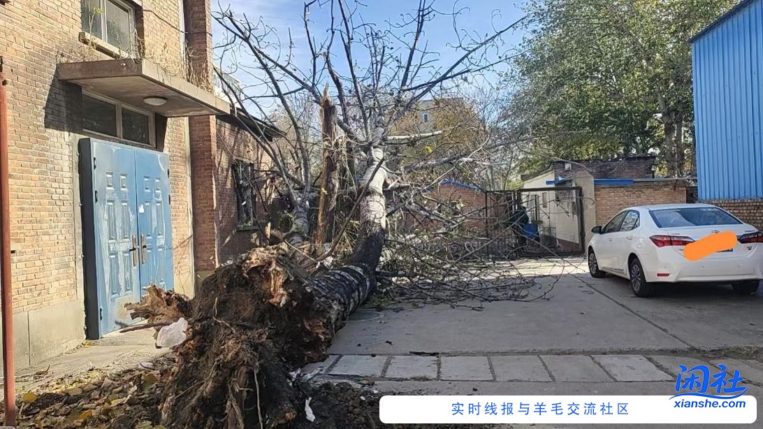 今天走狗屎运了