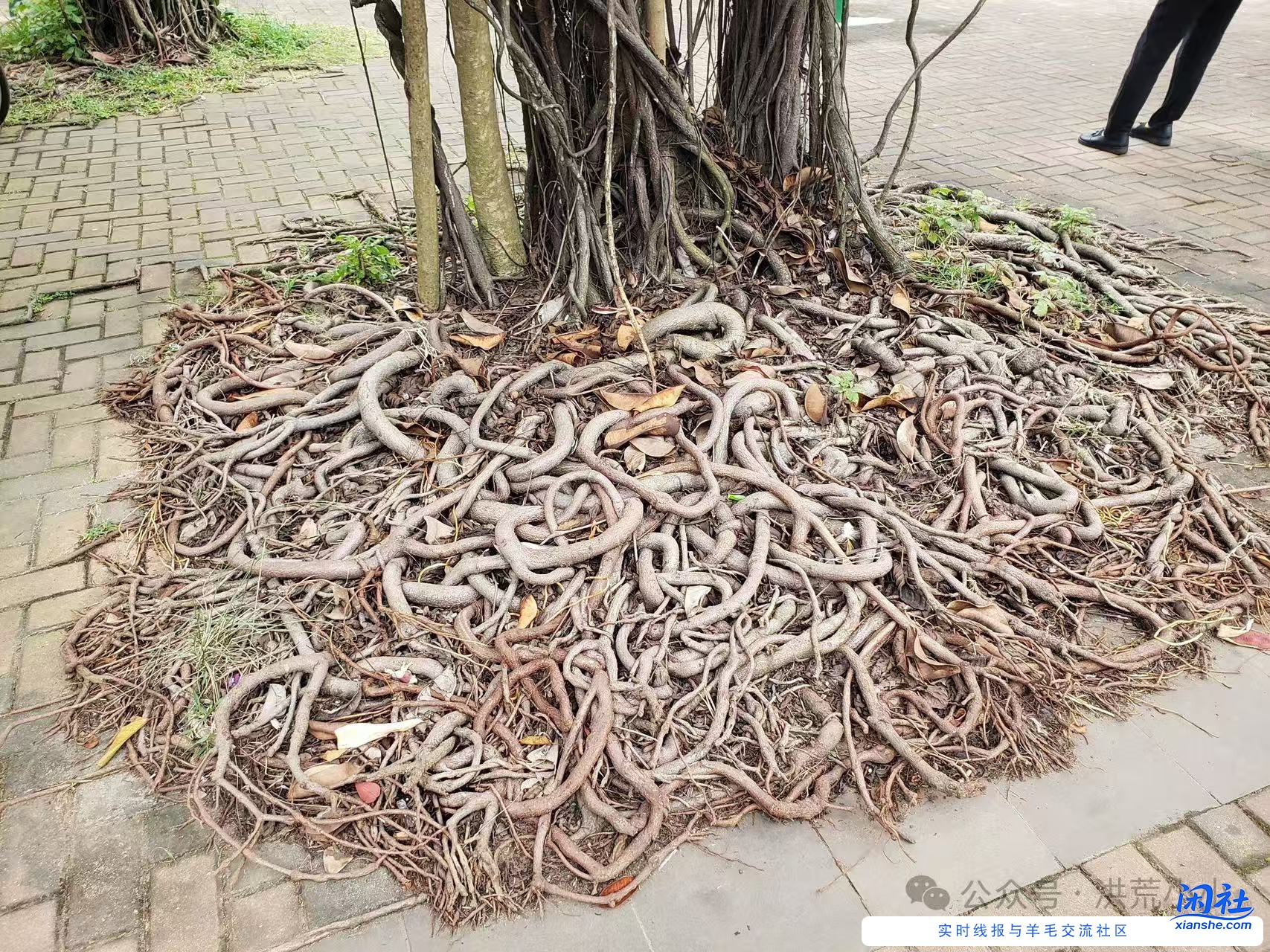 男女关系就好像这张图