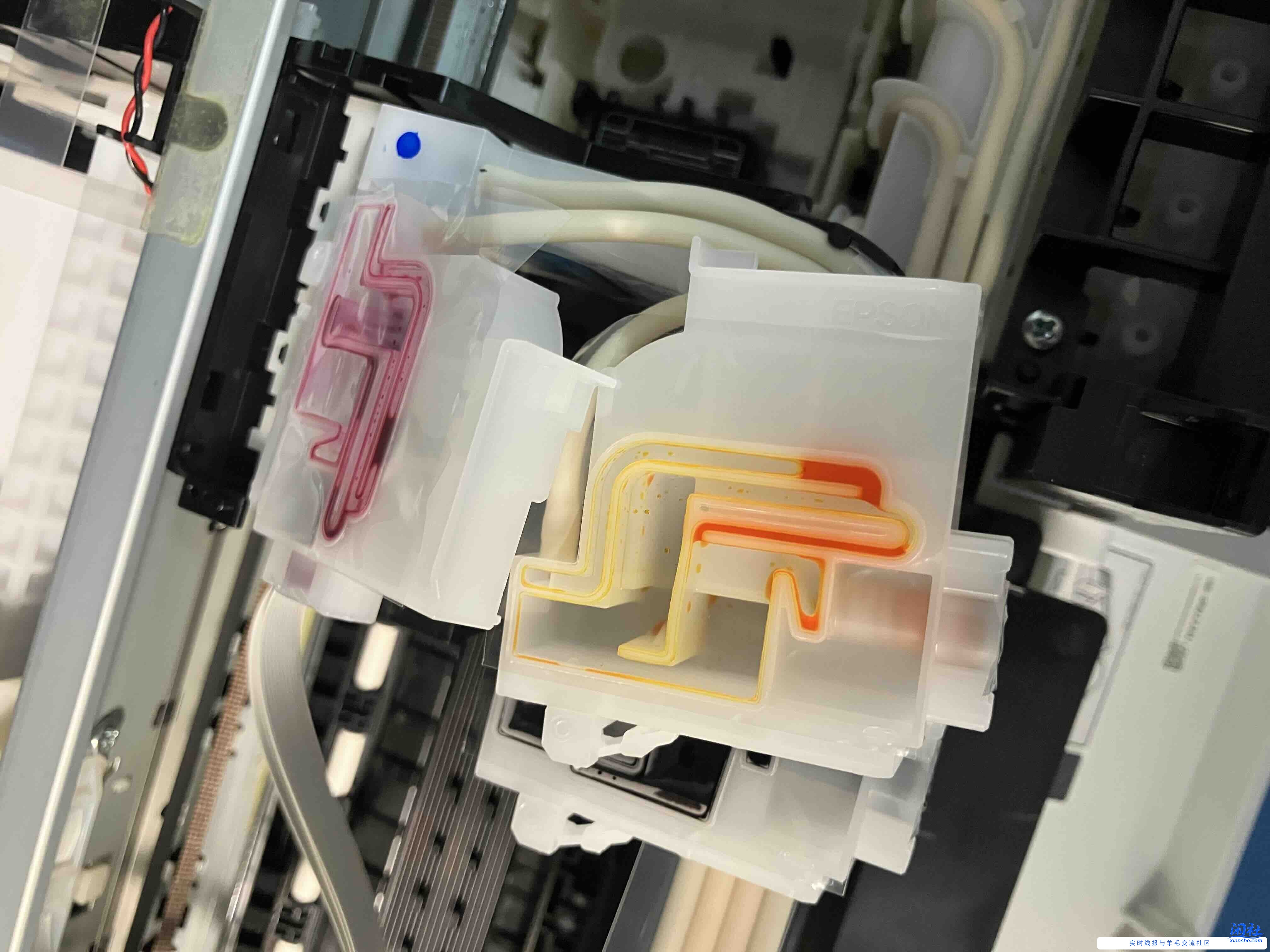 爱普生不出彩色了有了解的吗